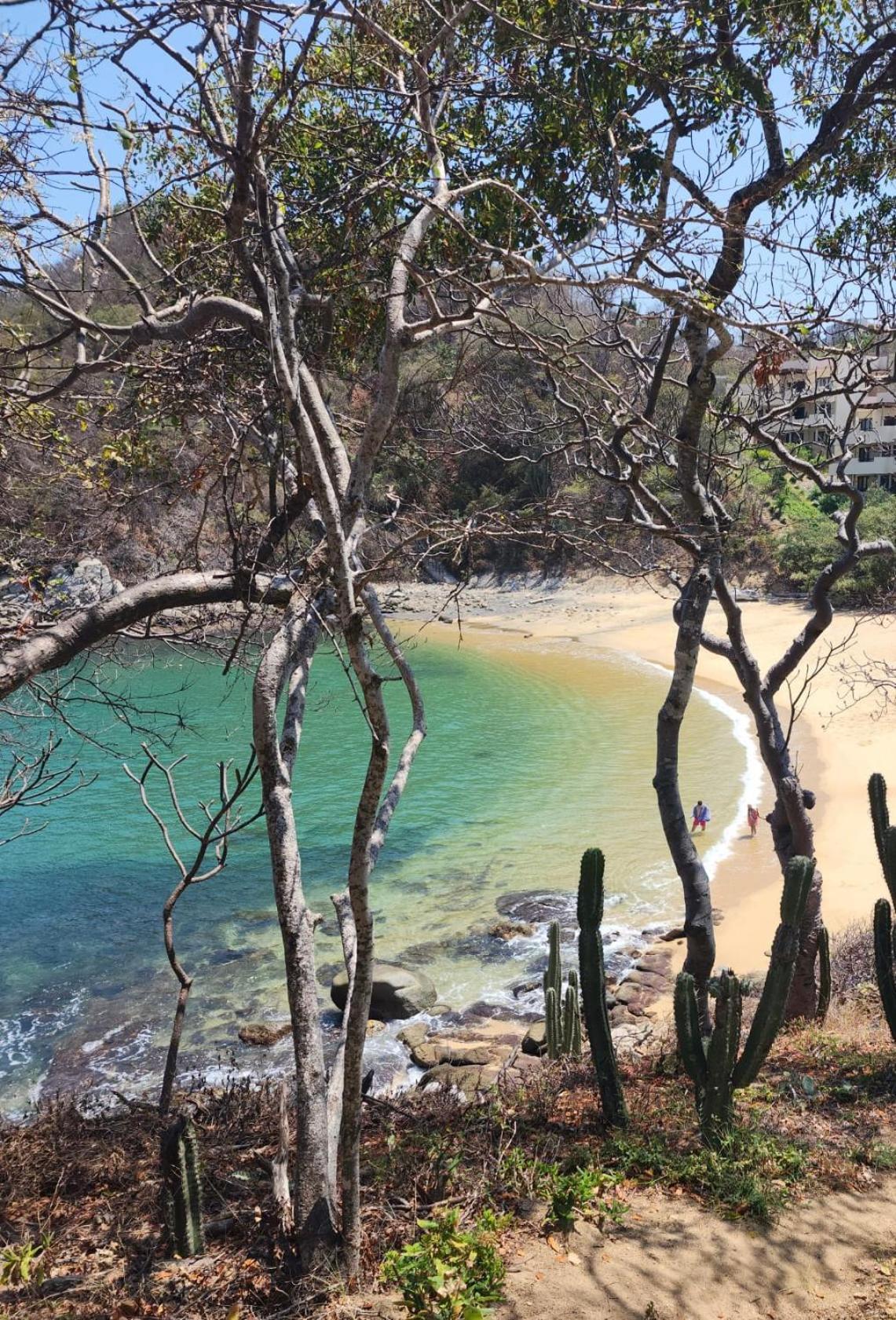 Agua Azul La Villa Santa Cruz Huatulco Eksteriør billede